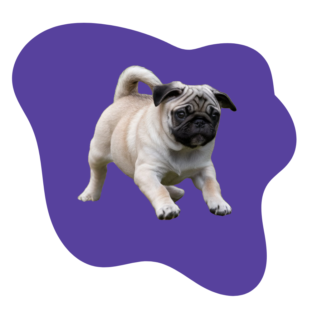 pug_blob